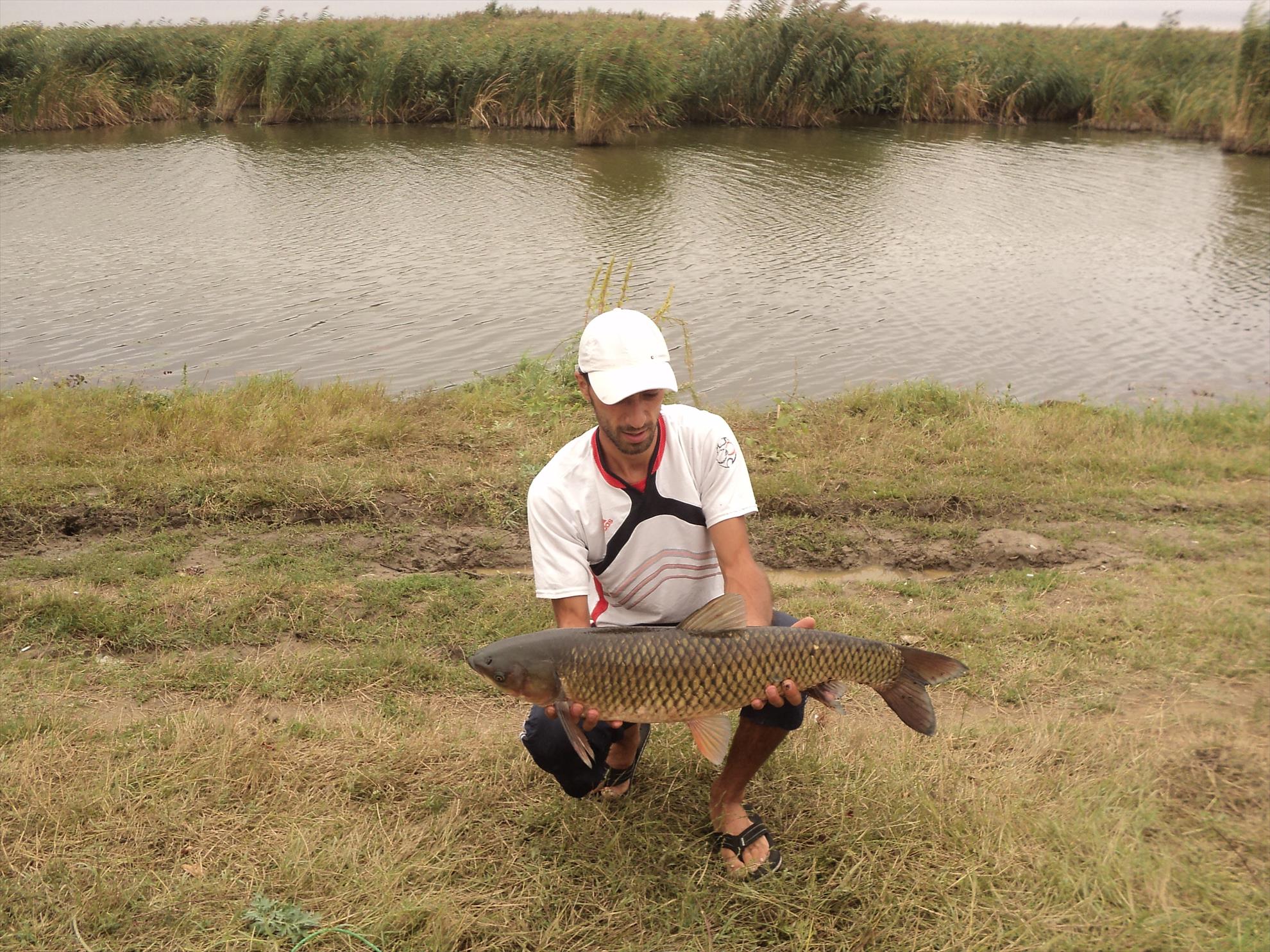 o mica parte din pesti de anul trecut - dsc01908.JPG